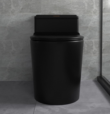 Sifão que nivela grupos cerâmicos do banheiro de Matte Black Toilet One Piece