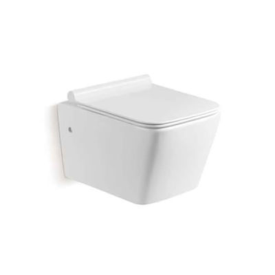 Parede sem aro Hung Toilet Gravity Flushing do estojo compacto branco da cor