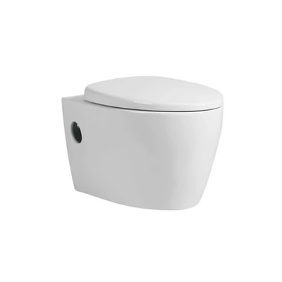 Parede cerâmica sem emenda lustrosa Hung Toilet Bowl Mix Pit que espaça 180mm