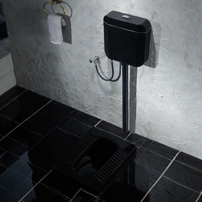 WC sanitário do Washdown dos mercadorias do toalete cerâmico de superfície preto da ocupa de Satined