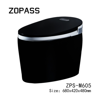Limpeza de auto inteligente esperta Tankless cerâmica de Siphonic do toalete